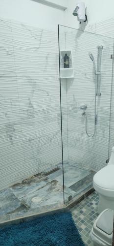 Ciudad CortésにあるBalu Accommodationのシャワーとトイレ付きのバスルーム