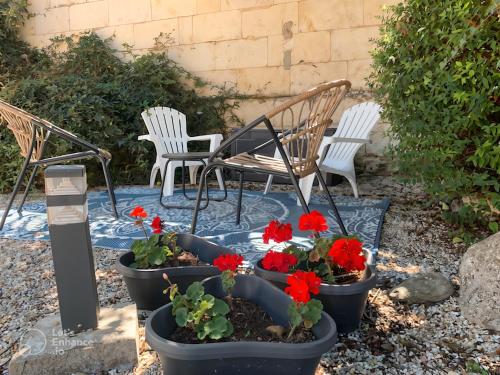 Сад в L'Atelier du Canton proche Châteaux de la Loire et Beauval