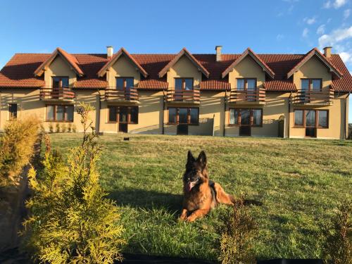 Charming Countryside Apartments