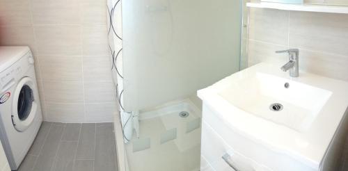 a bathroom with a sink and a washing machine at Noa gris in Saint-Martin-sur-Ocre