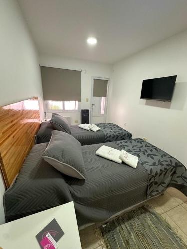 a bedroom with two beds and a flat screen tv at Abu Rosa in Villa Elisa