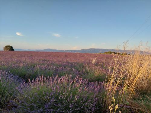 Φυσικό τοπίο κοντά σε αυτό το δωμάτιο σε οικογενειακή κατοικία