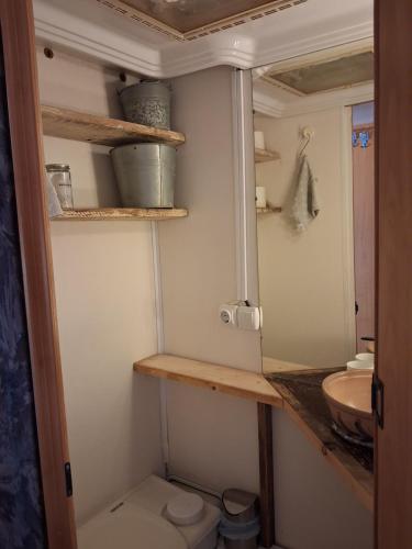 a small bathroom with a toilet and a sink at Caravan in Finca Molino in Almayate with with pool, family touch and dog madness in Almayate Alto