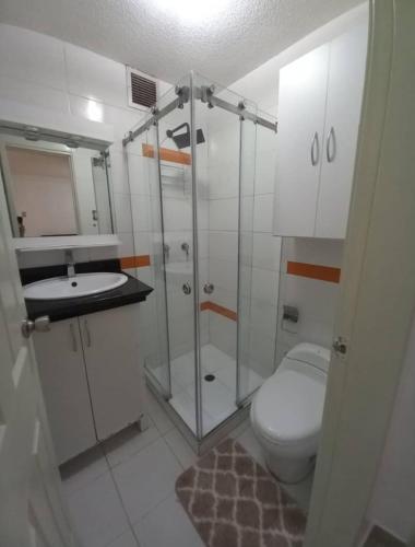 a bathroom with a toilet and a shower and a sink at Great for Relaxing in SC in San Cristóbal