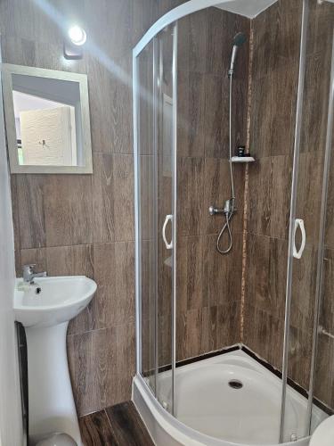 a bathroom with a shower and a sink at Vaya Retreat in Săsenii Vechi