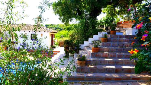 a set of stairs in a garden with potted plants at Caravan in Finca Molino in Almayate with with pool, family touch and dog madness in Almayate Alto