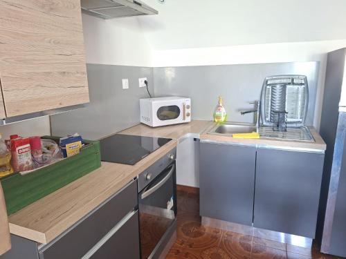 a small kitchen with a sink and a microwave at Escale Secrète Détente Montargis Parking Gratuit in Montargis