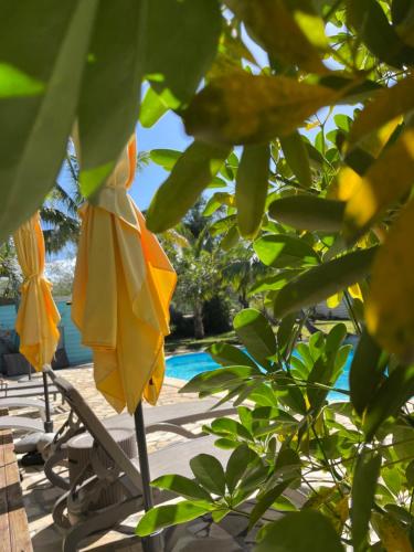 a closed yellow umbrella sitting next to a pool at Villa Albizia 974 avec piscine et spa in Saint-Pierre