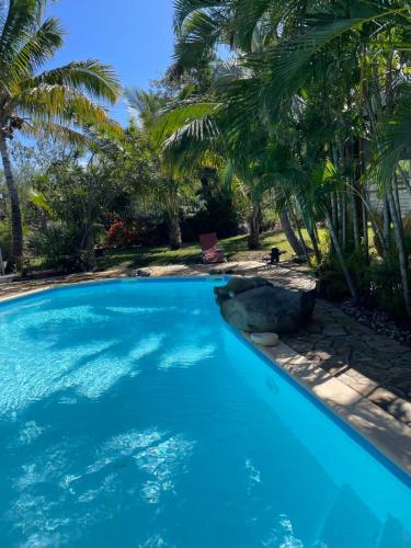 a large blue swimming pool with palm trees at Villa Albizia 974 avec piscine et spa in Saint-Pierre