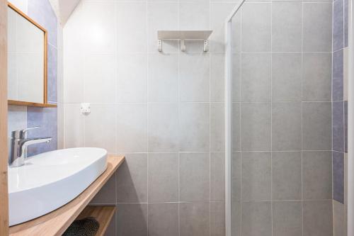 Saint-Colomban-des-VillardsにあるBreizh Chalet - 6 personnesの洗面台とシャワー付きのバスルーム