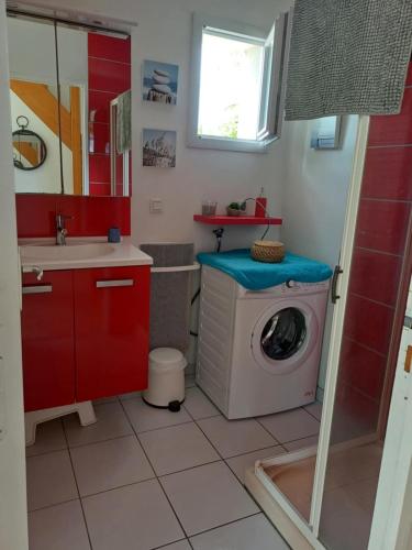une salle de bain avec une machine à laver et un lavabo dans l'établissement Maison tout confort au calme à 300m de la mer et du GR34 avec jardin, à Loctudy