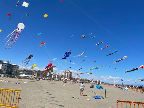 a group of people flying kites on the beach at B&B Casa Casti in Margherita di Savoia