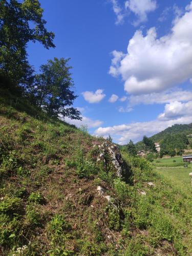 a grassy hill with a tree on top of it at Vikednica ZEA 