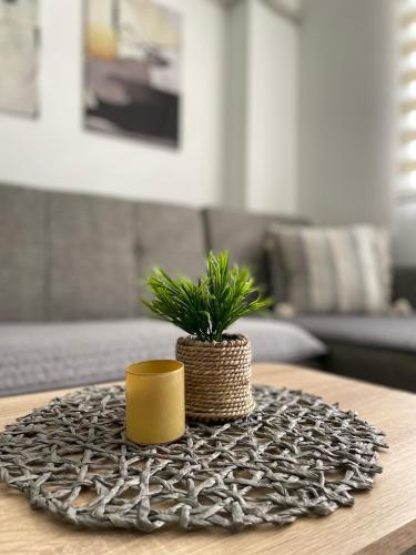 Gallery image of Aqua Sun Apartment in Jagodina