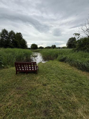 a bench sitting in the grass next to a field at Domek nad rozlewiskiem in Klotyldzin