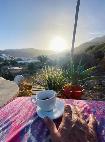 a person sitting at a table with a cup of coffee at Finca Oaxaca - Casa Tortuga in Agaete