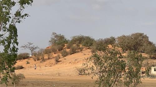 Loodusmaastik of the country house lähedal