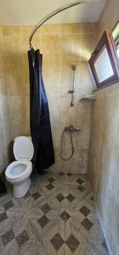 a bathroom with a toilet and a shower at Dava&Davi in Ureki