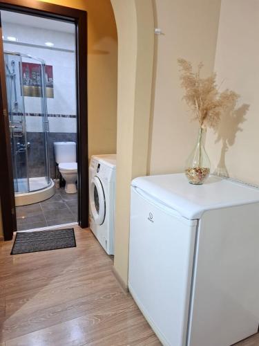 a washing machine with a vase on top of it at Aura Plaza Hotel in Tbilisi City