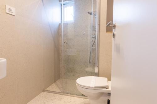 a bathroom with a shower and a toilet at Vila Select in Techirghiol