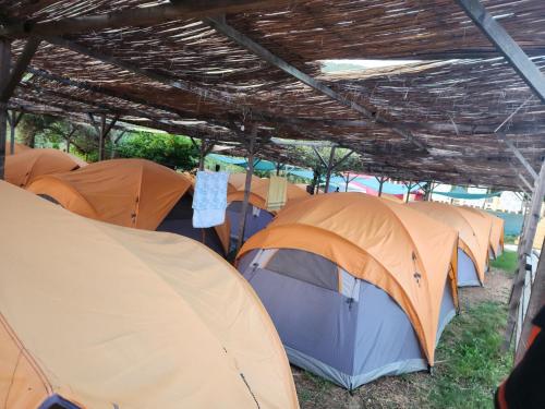 Gallery image of iCampJal Beach Camp and Bar in Jal