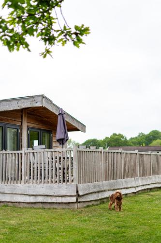 a dog standing in the grass in front of a house at Kingfisher Lodge Riverdale in West Tanfield