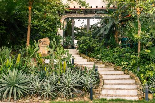 Taman di luar Villa Hoa Xương Rồng - Venus resort - Sang trọng giữa thiên nhiên