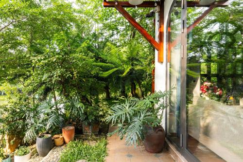 Taman di luar Villa Hoa Xương Rồng - Venus resort - Sang trọng giữa thiên nhiên