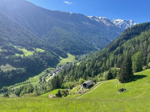 a green hillside with a house in a field at Mayen de Planraveire in Orsières