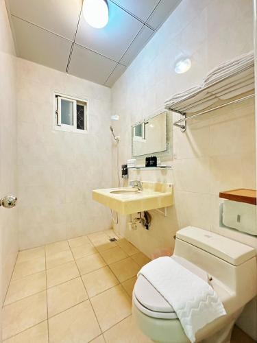 un baño con inodoro y lavabo en 羽竹民宿 -- 自助方式-附免費停車--, en Hualien City
