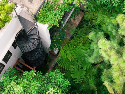 Taman di luar Villa Hoa Xương Rồng - Venus resort - Sang trọng giữa thiên nhiên