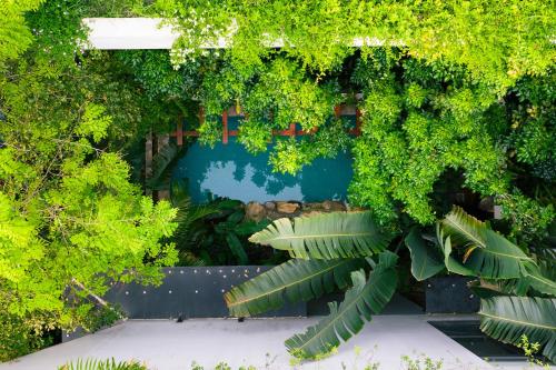 Taman di luar Villa Hoa Xương Rồng - Venus resort - Sang trọng giữa thiên nhiên