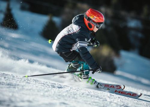 a person is skiing down a snow covered slope at SOLUNA STAY I See & Berge I Luzern I Familienfreundlich I Ski I Self-check-in I Free Parking in Küssnacht
