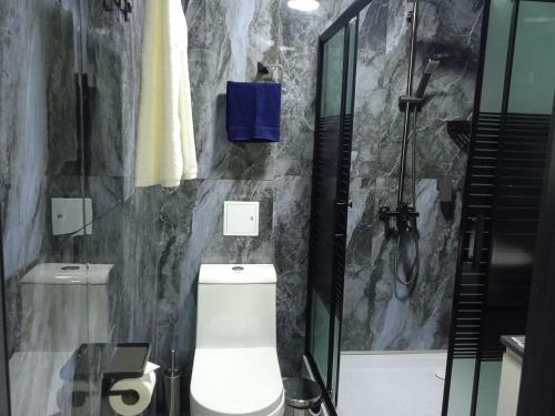 a bathroom with a toilet and a shower at Urban Luxe in Almaty