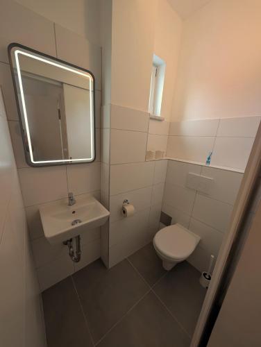 Flataid Apartmenthaus Tieschenにあるバスルーム