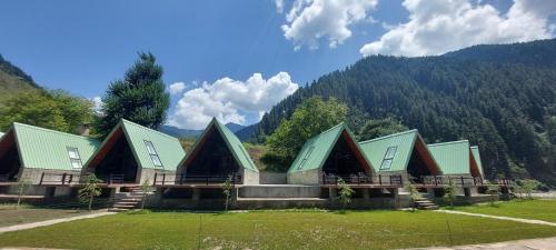 a building with green roofs with a mountain in the background at Riverside Challets Sharda in Shardi