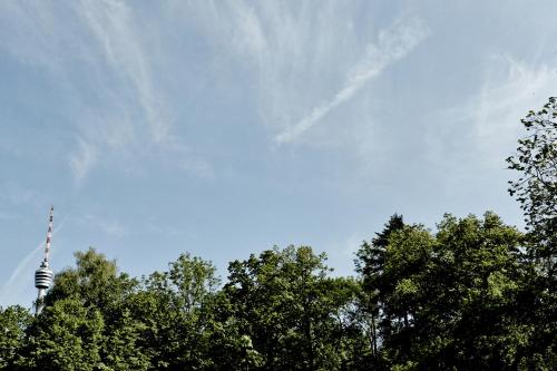 a view of the sky with trees in the foreground at Waldhotel Stuttgart in Stuttgart