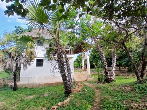 a white house with palm trees in front of it at Sea Soul Sanctuary in Ukunda