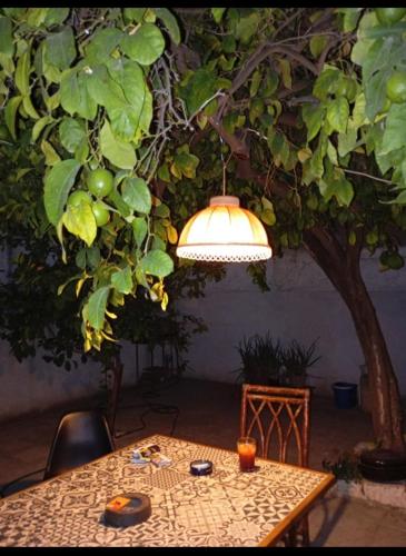 Lemon tree's House in Athens