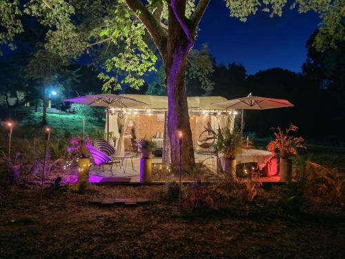 a tent with lights and a tree at night at Novaglamp Alma, amor y bosque in Agua de Dios