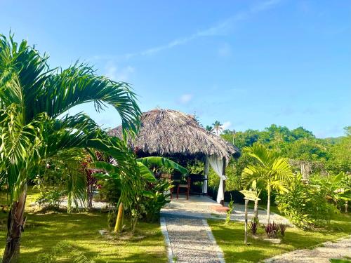 a resort with a thatch roof and a pathway at Villa KAMBUSA in Las Galeras