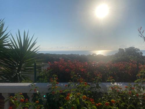 Gallery image of Maison de vacance avec vue imprenable sur mer in Poggio-Mezzana
