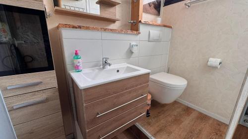 a small bathroom with a sink and a toilet at Gemütliches Ferienhaus in der Eifel mit Pool, Tennisplatz, Minigolf und nahem See in Blankenheim