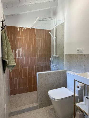a bathroom with a shower and a toilet and a sink at Casa Manuela in Montefrío