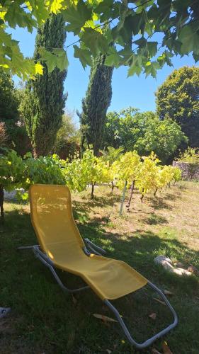 une chaise jaune assise dans l'herbe sous un arbre dans l'établissement Gite des fleurs, à Cozes