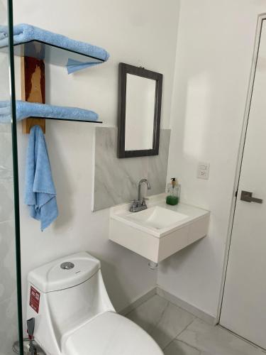 a bathroom with a toilet and a sink and a mirror at Departamento en coto con alberca y seguridad 24-7 in Ixtapa