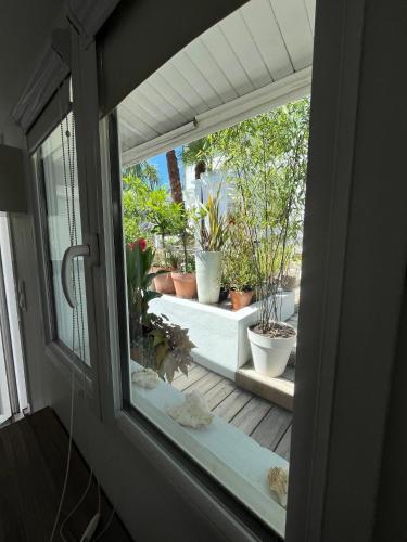 Κήπος έξω από το maisonette de charme