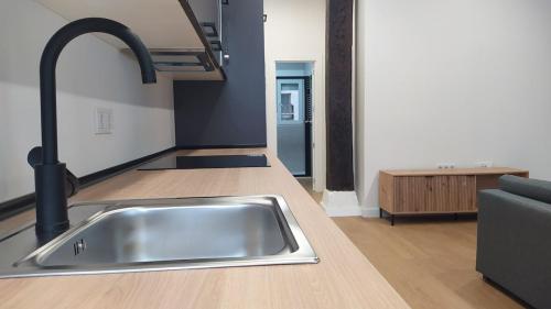 a kitchen with a stainless steel sink in a kitchen at Cantabria Suites - Ruamayor in Santander