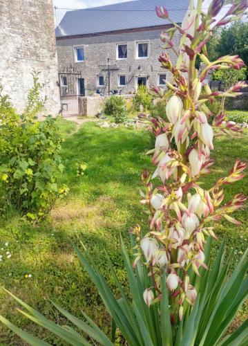 Κήπος έξω από το Chambre d'hôtes La clef des Champs à La Source de nos Racines