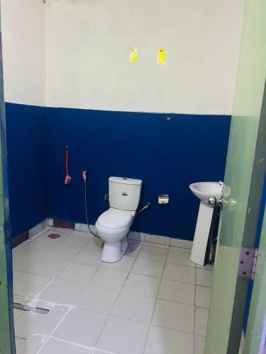 a bathroom with a toilet and a blue wall at Sigiriya World Hostal in Sigiriya